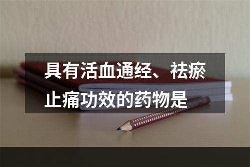 具有活血通经、祛瘀止痛功效的药物是