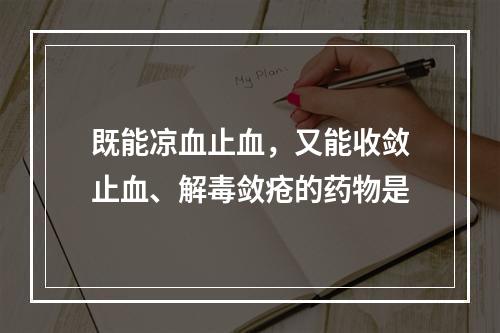 既能凉血止血，又能收敛止血、解毒敛疮的药物是