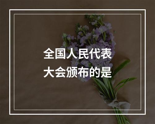 全国人民代表大会颁布的是