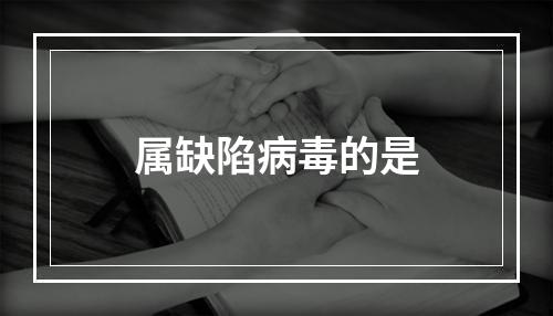 属缺陷病毒的是