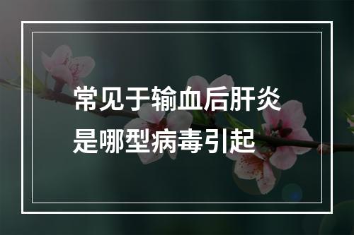 常见于输血后肝炎是哪型病毒引起