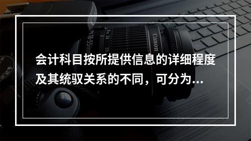 会计科目按所提供信息的详细程度及其统驭关系的不同，可分为（