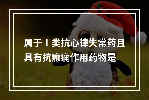 属于Ⅰ类抗心律失常药且具有抗癫痫作用药物是