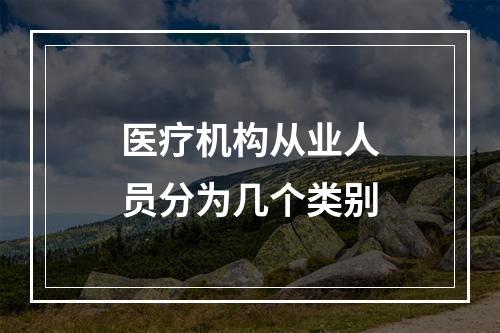 医疗机构从业人员分为几个类别