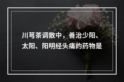 川芎茶调散中，善治少阳、太阳、阳明经头痛的药物是