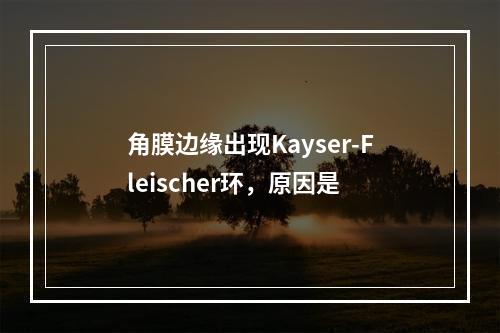 角膜边缘出现Kayser-Fleischer环，原因是