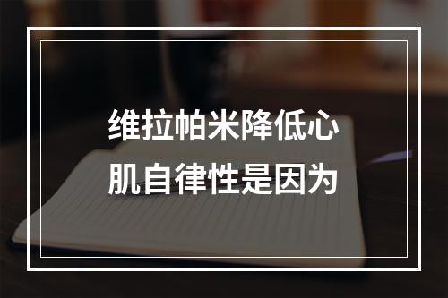 维拉帕米降低心肌自律性是因为