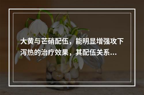 大黄与芒硝配伍，能明显增强攻下泻热的治疗效果，其配伍关系是