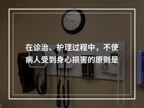 在诊治、护理过程中，不使病人受到身心损害的原则是