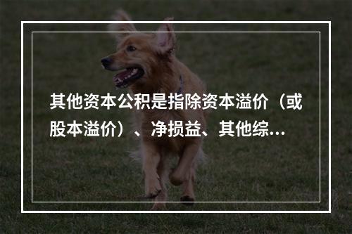 其他资本公积是指除资本溢价（或股本溢价）、净损益、其他综合收