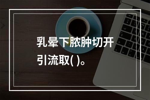 乳晕下脓肿切开引流取( )。