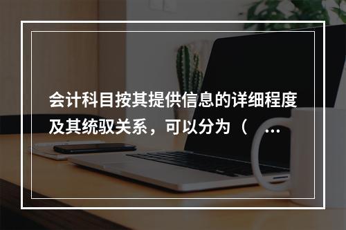 会计科目按其提供信息的详细程度及其统驭关系，可以分为（　　）