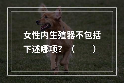 女性内生殖器不包括下述哪项？（　　）