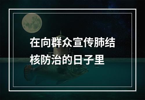 在向群众宣传肺结核防治的日子里