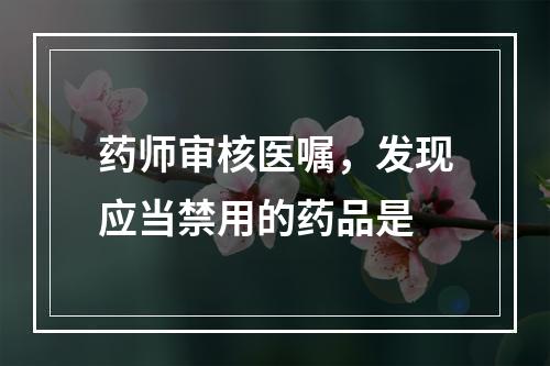 药师审核医嘱，发现应当禁用的药品是