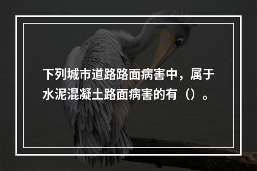 下列城市道路路面病害中，属于水泥混凝土路面病害的有（）。