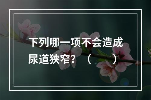 下列哪一项不会造成尿道狭窄？（　　）