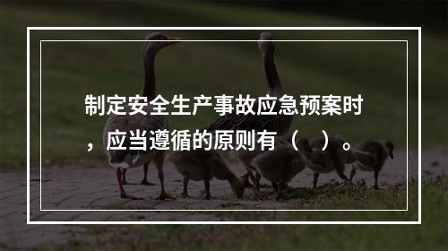 制定安全生产事故应急预案时，应当遵循的原则有（　）。