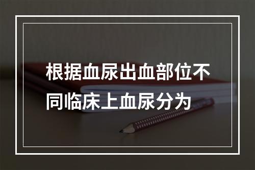 根据血尿出血部位不同临床上血尿分为