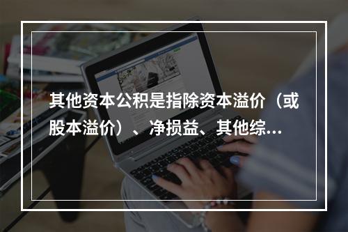 其他资本公积是指除资本溢价（或股本溢价）、净损益、其他综合收