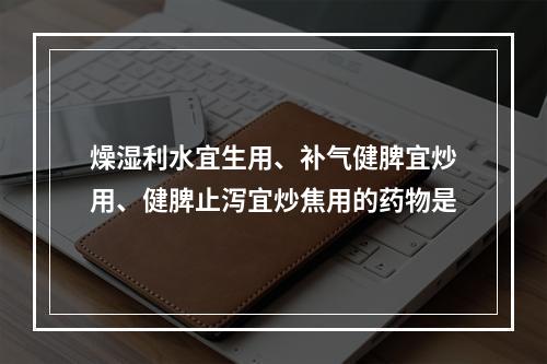 燥湿利水宜生用、补气健脾宜炒用、健脾止泻宜炒焦用的药物是