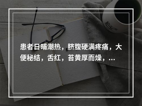 患者日晡潮热，脐腹硬满疼痛，大便秘结，舌红，苔黄厚而燥，脉沉