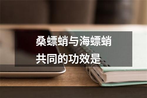 桑螵蛸与海螵蛸共同的功效是