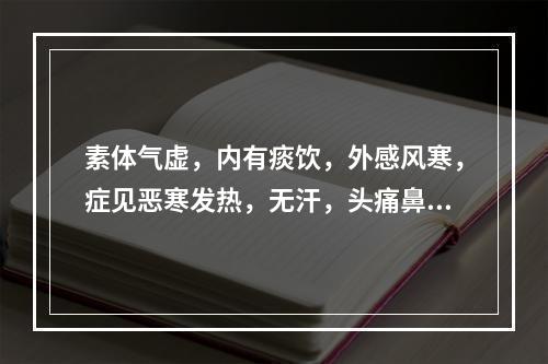 素体气虚，内有痰饮，外感风寒，症见恶寒发热，无汗，头痛鼻塞，