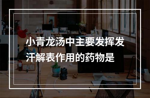 小青龙汤中主要发挥发汗解表作用的药物是