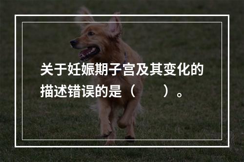 关于妊娠期子宫及其变化的描述错误的是（　　）。