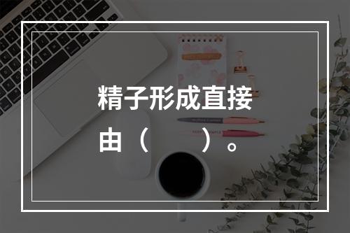 精子形成直接由（　　）。