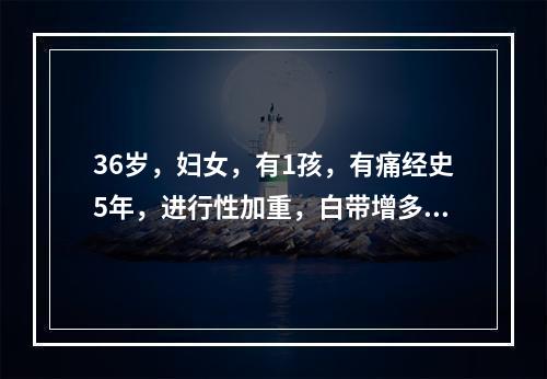 36岁，妇女，有1孩，有痛经史5年，进行性加重，白带增多一个