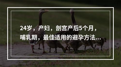 24岁，产妇，剖宫产后5个月，哺乳期，最佳适用的避孕方法是（