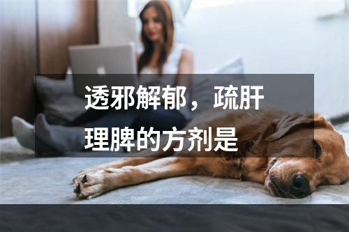 透邪解郁，疏肝理脾的方剂是