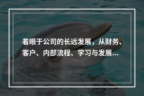 着眼于公司的长远发展，从财务、客户、内部流程、学习与发展四