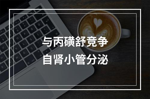 与丙磺舒竞争自肾小管分泌