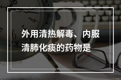 外用清热解毒、内服清肺化痰的药物是