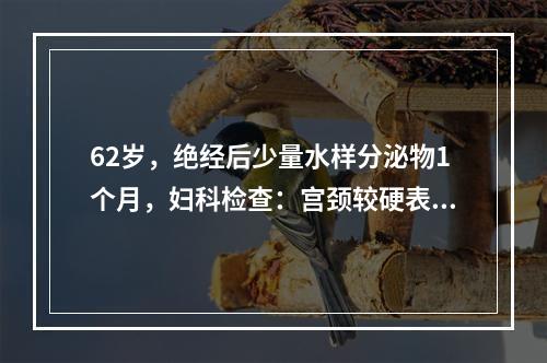 62岁，绝经后少量水样分泌物1个月，妇科检查：宫颈较硬表面光