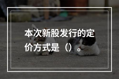 本次新股发行的定价方式是（）。