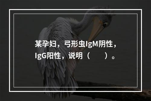 某孕妇，弓形虫IgM阴性，IgG阳性，说明（　　）。