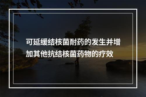 可延缓结核菌耐药的发生并增加其他抗结核菌药物的疗效