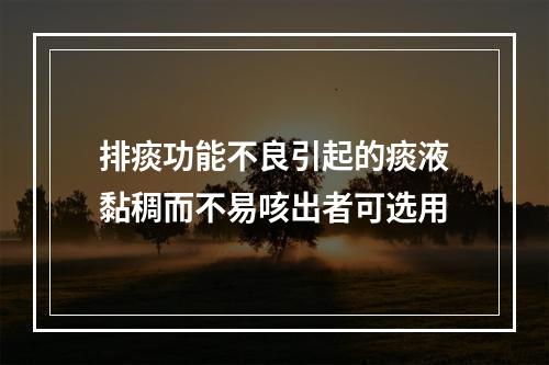 排痰功能不良引起的痰液黏稠而不易咳出者可选用