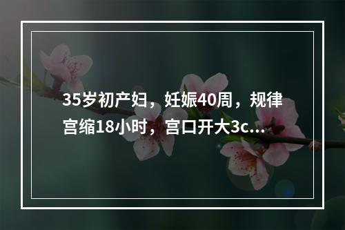 35岁初产妇，妊娠40周，规律宫缩18小时，宫口开大3cm，