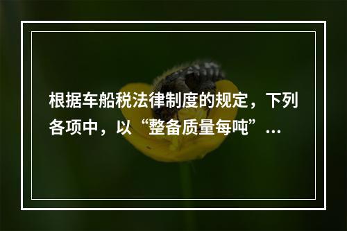 根据车船税法律制度的规定，下列各项中，以“整备质量每吨”为计