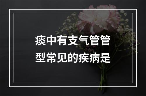 痰中有支气管管型常见的疾病是