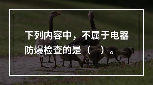 下列内容中，不属于电器防爆检查的是（　）。