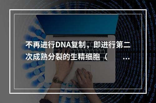 不再进行DNA复制，即进行第二次成熟分裂的生精细胞（　　）。