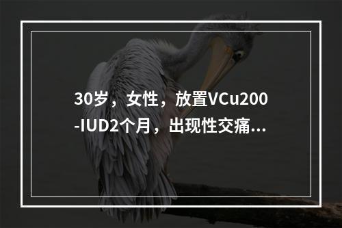 30岁，女性，放置VCu200-IUD2个月，出现性交痛应首