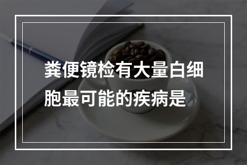 粪便镜检有大量白细胞最可能的疾病是