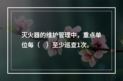 灭火器的维护管理中，重点单位每（　）至少巡查1次。